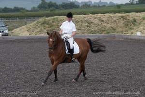 ISIS Dressage Challenge 2008